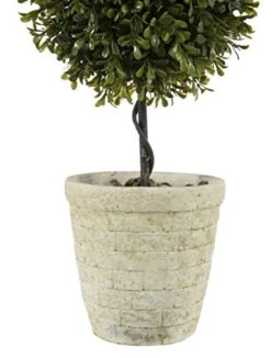 Regency International Spring Boxwood Double Ball Topiary 24" -Green Leaf Store 41bIvWmcN2L