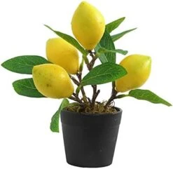 UNIE Artificial Lemon Topiary Mini Tree Potted Fake Plants In Pot For Home Office Decorations 12 UNIE Artificial Lemon Topiary Mini Tree Potted Fake Plants In Pot For Home Office Decorations -Green Leaf Store 41bhpdWgc2L. AC
