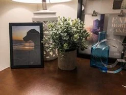 Winlyn Mini Potted Plants Artificial Eucalyptus Boxwood Rosemary Greenery In Pots Faux Potted Herbs Small Houseplants 8.3"-9" Tall For Indoor Greenery Tabletop Décor Centerpiece 3 Pack 7 Winlyn Mini Potted Plants Artificial Eucalyptus Boxwood Rosemary Greenery In Pots Faux Potted Herbs Small Houseplants 8.3"-9" Tall For Indoor Greenery Tabletop Décor Centerpiece 3 Pack -Green Leaf Store 41bsvMph6ML