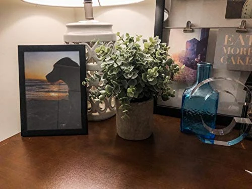 Winlyn Mini Potted Plants Artificial Eucalyptus Boxwood Rosemary Greenery In Pots Faux Potted Herbs Small Houseplants 8.3"-9" Tall For Indoor Greenery Tabletop Décor Centerpiece 3 Pack 4 Winlyn Mini Potted Plants Artificial Eucalyptus Boxwood Rosemary Greenery In Pots Faux Potted Herbs Small Houseplants 8.3"-9" Tall For Indoor Greenery Tabletop Décor Centerpiece 3 Pack - Image 4