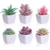 CEWOR 6pcs Artificial Succulent Plants In Pots, Small Fake Succulent Plants Assorted Colors Faux Succulent In Ceramic Pots For Office Desk Decor Shelves Home Bedroom Decoration 11 CEWOR 6pcs Artificial Succulent Plants In Pots, Small Fake Succulent Plants Assorted Colors Faux Succulent In Ceramic Pots For Office Desk Decor Shelves Home Bedroom Decoration -Green Leaf Store 41bxMNw73rL