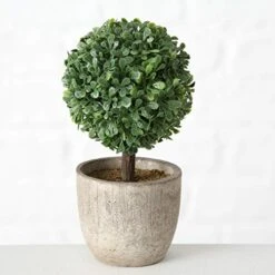 WHW Whole House Worlds Realistic Faux Boxwood Sculptural Topiary, Set Of 3, Curly Leaf, Cone And Ball Tops, Gray Stone Pot, Each 5.5 Inches Tall, Mixed Materials -Green Leaf Store 41c6FdZobeL
