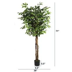 Cozy Castle Artificial Ficus Tree 71in - Faux Indoor Tree For Home Decor, Evergreen 6-Feet Tall Fake Tree Plant, Fake Floor Plant With Sturdy Plastic Nursery Pot For Living Room, Farmhouse, Office 8 Cozy Castle Artificial Ficus Tree 71in - Faux Indoor Tree For Home Decor, Evergreen 6-Feet Tall Fake Tree Plant, Fake Floor Plant With Sturdy Plastic Nursery Pot For Living Room, Farmhouse, Office -Green Leaf Store 41csSqbNmvL