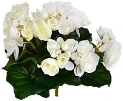 Vickerman 9.5" Artificial Yellow Polyester Begonia Bush 11 Vickerman 9.5" Artificial Yellow Polyester Begonia Bush -Green Leaf Store 41cya9dsnOL. AC