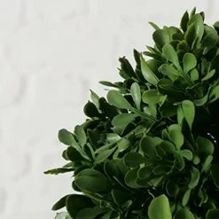 WHW Whole House Worlds Realistic Faux Potted Boxwood Ball Topiary Tree, Rattan Basket Planter, 17 Inches Tall, Weighted Bottom, French Country Style -Green Leaf Store 41dRN2t1RoL