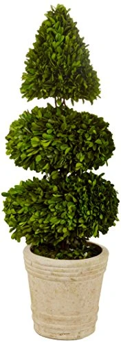 Preserved Boxwood With Double Ball And Cone