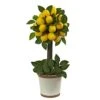 Nearly Natural Lemon Ball Arrangement Topiary, Yellow,19.5'' X 8.5'' X 8.75'' - 4865 12 Nearly Natural Lemon Ball Arrangement Topiary, Yellow,19.5'' X 8.5'' X 8.75'' - 4865 -Green Leaf Store 41dbn7AdhOL