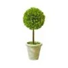 Mills Floral Company Box Topiary, Single, Small, 5" X 12 -Green Leaf Store 41dcsCzPuSL