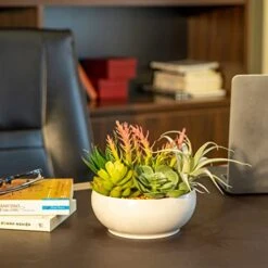 10 In 1- Fake Plants In Pot -Artificial Succulents Plant For Desk Decor -Small Faux Plants Indoor Modern Farmhouse Plants Artificial Decor -Potted Small Plants Decor For Bedroom Bathroom Office Shelf -Green Leaf Store 41eDd3kdK9L