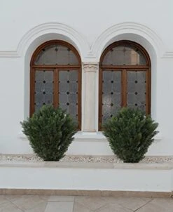 41 Inch Artificial Cedar Topiary Tree 3.4ft Faux Bushes Plant With Pot For Indoor/Outdoor 8 41 Inch Artificial Cedar Topiary Tree 3.4ft Faux Bushes Plant With Pot For Indoor/Outdoor -Green Leaf Store 41eNZJ9KegL