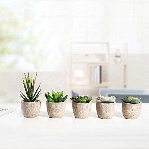 Jelofly Fake Plants Artificial Succulent Plants Assorted Decorative Faux Succulent Potted Fake Cactus Cacti Plants Gray Pots, Set Of 5 4 Jelofly Fake Plants Artificial Succulent Plants Assorted Decorative Faux Succulent Potted Fake Cactus Cacti Plants Gray Pots, Set Of 5 - Image 4