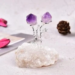 AMOYSTONE Natural Amethyst Flower Tree Wrapped On Quartz Pyrite Base Healing Stone Tree Money Tree For Wealth And Luck Amethyst Pyrite 3-4" Tall -Green Leaf Store 41ekfbYxZeL. AC