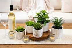 Kurrajong Farmhouse Artificial Succulent Plants In Pots | Mini Fake Plant For Shelves | Artificial Plants For Home Decor Indoor | Succulent Plants Artificial | Mini Plant Decor | Small Faux Plants -Green Leaf Store 41fGiZalUWL