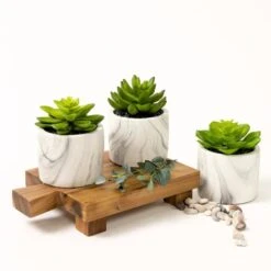 Kurrajong Farmhouse Artificial Succulent Plants In Pots | Mini Fake Plant For Shelves | Artificial Plants For Home Decor Indoor | Succulent Plants Artificial | Mini Plant Decor | Small Faux Plants -Green Leaf Store 41fUBC5pOuL