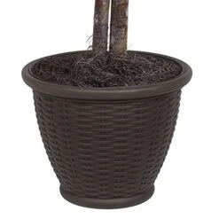 Vickerman 4' Artificial Orange Maple Bush, Brown Plastic Container. -Green Leaf Store 41fVQPkxe1L 1