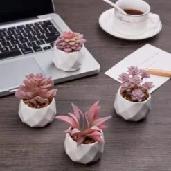 VIVERIE Rose Pink Faux Succulents In White Ceramic Pot Set Of 4 - Plant Gifts, Cute Aesthetic Pink Room, Home Decor Accents, Centerpieces, Bathroom Decor, Mum Gifts, Cactus Decor, Succulents Wedding 14 VIVERIE Rose Pink Faux Succulents In White Ceramic Pot Set Of 4 - Plant Gifts, Cute Aesthetic Pink Room, Home Decor Accents, Centerpieces, Bathroom Decor, Mum Gifts, Cactus Decor, Succulents Wedding -Green Leaf Store 41fZ68TNYcL