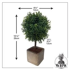 WHW Whole House Worlds Realistic Faux Potted Boxwood Ball Topiary Tree, Gray Stone Finished Planter, 10 1/4 Inches Tall -Green Leaf Store 41gY3zmQYAL