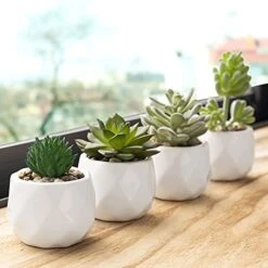 MyGift Set Of 4 Mini Assorted Artificial Succulent Fake Plants In Modern White Textured Ceramic Plant Pots 8 MyGift Set Of 4 Mini Assorted Artificial Succulent Fake Plants In Modern White Textured Ceramic Plant Pots -Green Leaf Store 41h6mlF5eBS