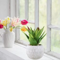 Set Of 3 Small Potted Succulents Plants Artificial Aloe Hops Succulents In Gray Concrete Ceramic Planter Geometry Pattern For Party Favor Gift Windowsill Tabletop Shelf Indoor Outdoor Greenery Decor 5 Set Of 3 Small Potted Succulents Plants Artificial Aloe Hops Succulents In Gray Concrete Ceramic Planter Geometry Pattern For Party Favor Gift Windowsill Tabletop Shelf Indoor Outdoor Greenery Decor -Green Leaf Store 41h9PygMD1L