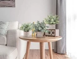 A Bundle Of Pack Mini Potted Fake Plants And 2 Packs Mini Fake Plants Small Artificial Plants For Bathroom Farmhouse Office Home Decor Indoor 7 A Bundle Of Pack Mini Potted Fake Plants And 2 Packs Mini Fake Plants Small Artificial Plants For Bathroom Farmhouse Office Home Decor Indoor -Green Leaf Store 41hFwWeJRuL