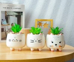 B SEPOR 3 Little Kitty Cats Small Artificial Succulents Potted With White Porcelain Pots Ceramic Animal Planter Gift Set For Home And Office Decor -Green Leaf Store 41hgzH99blL