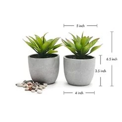 Kurrajong Farmhouse Fake Plants | Fake Succulents Set Of Two | Succulent Plants Artificial | Artificial Succulents | Fake Agave Artificial Plants -Green Leaf Store 41hs7DtTOGS