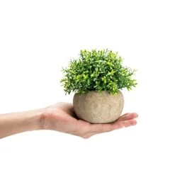 Velener 2Pcs Mini Artificial Boxwood Topiary Faux Plants Indoor- Small Fake Plants Decor Magnolia Home Office Desk Cubicle Farmhouse Kitchen Bookshelf Bedroom Bathroom Decor, Aloe Vera Zen Garden 13 Velener 2Pcs Mini Artificial Boxwood Topiary Faux Plants Indoor- Small Fake Plants Decor Magnolia Home Office Desk Cubicle Farmhouse Kitchen Bookshelf Bedroom Bathroom Decor, Aloe Vera Zen Garden -Green Leaf Store 41hsNiRCsVL