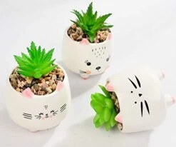 B SEPOR 3 Little Kitty Cats Small Artificial Succulents Potted With White Porcelain Pots Ceramic Animal Planter Gift Set For Home And Office Decor -Green Leaf Store 41hvZbkC9fL