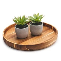 Kurrajong Farmhouse Fake Plants | Fake Succulents Set Of Two | Succulent Plants Artificial | Artificial Succulents | Fake Agave Artificial Plants -Green Leaf Store 41iH3aWKNnS