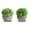 THE BLOOM TIMES 2 Pcs Fake Plant For Bathroom/Home Office Decor, Small Artificial Faux Greenery For House Decorations (Potted Plants) -Green Leaf Store 41iKvx2g0HL