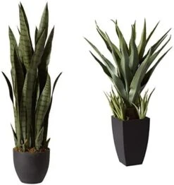 Nearly Natural, Green 4855 35in. Sansevieria With Black Planter & 6ft. Ficus Artificial Trees, 72in, Green -Green Leaf Store 41iNxk62TdL. AC 1
