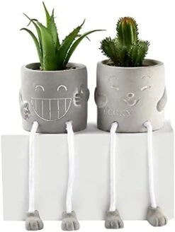 Sets Of 2 Artificial Potted Plant Small Fake Succulent Faux Plant Cute Hanging Leg Cement Potted Succulents Decor For Gift, Office Decoration, Home Décor (2 Smiley) 13 Sets Of 2 Artificial Potted Plant Small Fake Succulent Faux Plant Cute Hanging Leg Cement Potted Succulents Decor For Gift, Office Decoration, Home Décor (2 Smiley) -Green Leaf Store 41iOSYS2vGL. AC