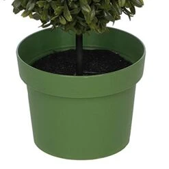 House Of Silk Flowers Artificial 19" Double Ball Boxwood Topiary -Green Leaf Store 41iTo9oTzPL