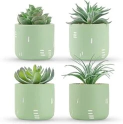 Der Rose 2 Packs Fake Plants Succulents Plants Artificial For Living Room Bedroom Aesthetic Decor -Green Leaf Store 41iWtHZbnkL. AC