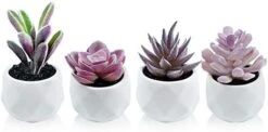 Tiita Artificial Faux Succulents In Pots Fake Plants Ceramic Arrangement Planter Small Mini Tiny Decoration For Home Office Desk Window Sill Bathroom Bedroom Outdoor Indoor 4 Set -Green Leaf Store 41iciSz7I6L. AC