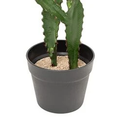 Simple Elements Faux Desert Candle Cactus With Plastic Pot | Artificial Cactus Plant | Home Décor, Event Décor, Outdoor Décor, Party Décor And Wedding Décor | 23" H X 5.5" W (Pot) -Green Leaf Store 41it7F7QttL