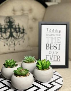 Artificial Succulent Plants In Cement Pots, Set Of 4 - Realistic Faux Potted Plant For Home, Apartment, Or Office - Decorative Fake Succulents - For Desk, Bookshelf, Or Kitchen -Green Leaf Store 41jGY7zfQML