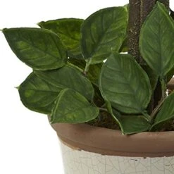 Nearly Natural Lemon Ball Arrangement Topiary, Yellow,19.5'' X 8.5'' X 8.75'' - 4865 -Green Leaf Store 41jTv9EOTxL