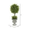 Vickerman FK172501 Everyday Juniper Topiary -Green Leaf Store 41jg7MPCI3L