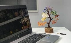 DREAM HOLISTIC Crystal Tree, 7 Chakra Tree Stones Décor Tree , Crystal Decorations For Home, Fortune, Spiritual Gifts Money Tree For Good Luck - 10 Inch Bonsai Trees -Green Leaf Store 41jr8XZNqyL