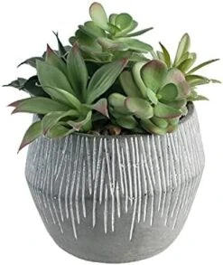 FAVRD Artificial Succulents In Cement Pot Environmentally Conscious Partly Recycled Fake Plants Artificial Plants Indoor Home Office Decor Desk Faux Plants, 8.5 X 8.5 X 8.75 Inches, Green, (10181-A) -Green Leaf Store 41jzBIJZZ9S. AC