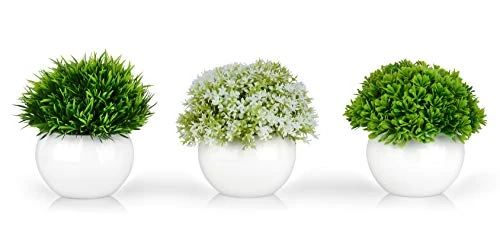ELYSIANZE Mini Artificial Plants | Modern Farmhouse Plants Home Decor | Small Fake Plants | Office/Kitchen/Bathroom/Bedroom/Mantle/Shelf/Living Room/Table Decoration Faux Plant Set 1 ELYSIANZE Mini Artificial Plants | Modern Farmhouse Plants Home Decor | Small Fake Plants | Office/Kitchen/Bathroom/Bedroom/Mantle/Shelf/Living Room/Table Decoration Faux Plant Set