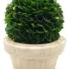 Serene Spaces Living Preserved Boxwood Ball With Small Pot – Boxwood In Planters, Preserved Plant For Boxwood Table Decor, Boxwood Centerpiece, Measures 5.5" Tall & 4" Diameter -Green Leaf Store 41k5fOnN3KL