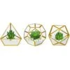 Mkono Artificial Succulent In 3 Pack Mini Glass Geometric Terrarium, Miniature Potted Faux Plant Bookshelf Desk Boho Office Room Decor For Women Girls Dorm Gift Idea, Gold -Green Leaf Store 41kBN5ecliL