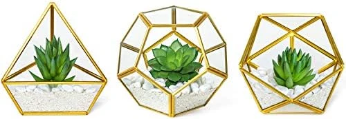 Mkono Artificial Succulent In 3 Pack Mini Glass Geometric Terrarium, Miniature Potted Faux Plant Bookshelf Desk Boho Office Room Decor For Women Girls Dorm Gift Idea, Gold 8 Mkono Artificial Succulent In 3 Pack Mini Glass Geometric Terrarium, Miniature Potted Faux Plant Bookshelf Desk Boho Office Room Decor For Women Girls Dorm Gift Idea, Gold - Image 8