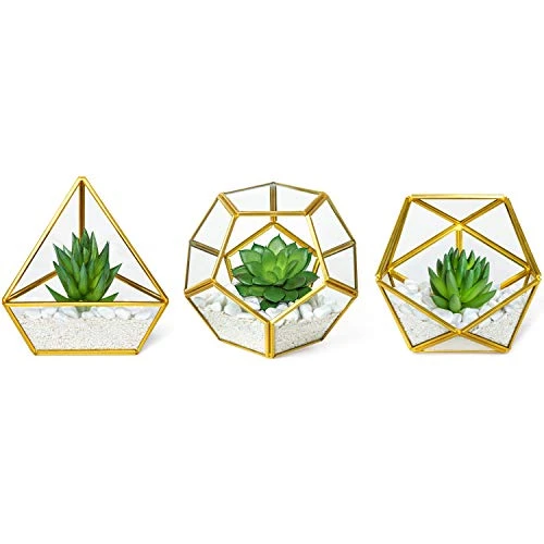 Mkono Artificial Succulent In 3 Pack Mini Glass Geometric Terrarium, Miniature Potted Faux Plant Bookshelf Desk Boho Office Room Decor For Women Girls Dorm Gift Idea, Gold 1 Mkono Artificial Succulent In 3 Pack Mini Glass Geometric Terrarium, Miniature Potted Faux Plant Bookshelf Desk Boho Office Room Decor For Women Girls Dorm Gift Idea, Gold