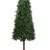 Arcadia Silk Plantation 5.5' Cone-Shaped Boxwood Topiary In Plastic Pot Two Tone Green 4 Arcadia Silk Plantation 5.5' Cone-Shaped Boxwood Topiary In Plastic Pot Two Tone Green -Green Leaf Store 41kOipQwusL