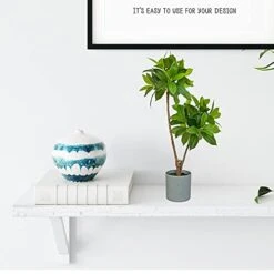 BESAMENATURE Artificial Bay Double Ball Topiary Trees, Faux Plant For Home Office Decoration, 24" Tall, Green, Ships In Gray Planter 7 BESAMENATURE Artificial Bay Double Ball Topiary Trees, Faux Plant For Home Office Decoration, 24" Tall, Green, Ships In Gray Planter -Green Leaf Store 41lGNC93fdS