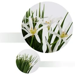 Briful Small Artificial Grass Plant Decor Wheat Fake Plant With Flowers In Ceramic Pot Real Touch Potted Greenery Faux Plant For Kitchen Countertop Tabletop Bookshelf Coffee Decorations 9 Briful Small Artificial Grass Plant Decor Wheat Fake Plant With Flowers In Ceramic Pot Real Touch Potted Greenery Faux Plant For Kitchen Countertop Tabletop Bookshelf Coffee Decorations -Green Leaf Store 41mQ9s6q1bL