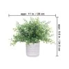 Set Of 3 Assorted Small Potted Plants Fake Eucalyptus Boxwood Plants And Aloe Succulent Plant In Gray Geometric Concrete Ceramic Pots For Gifts Home Kitchen Table Desk Indoor Outdoor Greenery Decor 11 Set Of 3 Assorted Small Potted Plants Fake Eucalyptus Boxwood Plants And Aloe Succulent Plant In Gray Geometric Concrete Ceramic Pots For Gifts Home Kitchen Table Desk Indoor Outdoor Greenery Decor -Green Leaf Store 41mcWGMLcaL